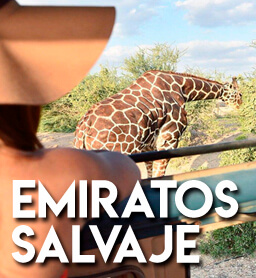 Emiratos Salvajes Desert Island